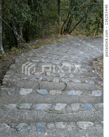 沿著山路建造的階梯的景色 136265446