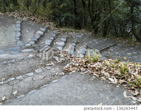 沿著山路建造的階梯的景色 136265447
