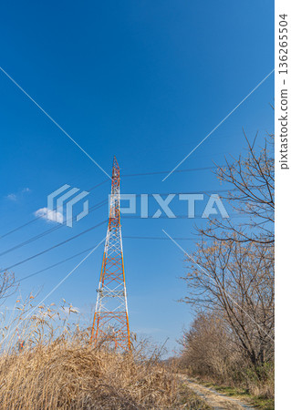 Power line tower standing on the right bank of the Yodo River, Takatsuki City, Osaka Prefecture Power line tower standing on the right bank of the Yodo River, Takatsuki City, Osaka Prefecture 136265504