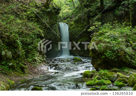 Ryugaeshi Falls in the season of fresh greenery, Karuizawa Town 136265810