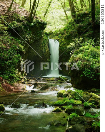 Ryugaeshi Falls in the season of fresh greenery, Karuizawa Town Ryugaeshi Falls in the season of fresh greenery, Karuizawa Town 136265811