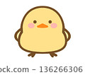 Cute chick illustration material 136266306