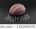 Human brain model with question marks drawn with chalk on scholl blackboard. Concept of problems, solutions, doubts, mind and mental activity. 136266476