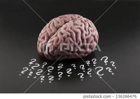 Human brain model with question marks drawn with chalk on scholl blackboard. Concept of problems, solutions, doubts, mind and mental activity. 136266476