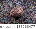 Human brain model surrounded by colorful curly lines drawn with chalk on scholl blackboard. Psychology, mental health or creative mind concept. 136266477