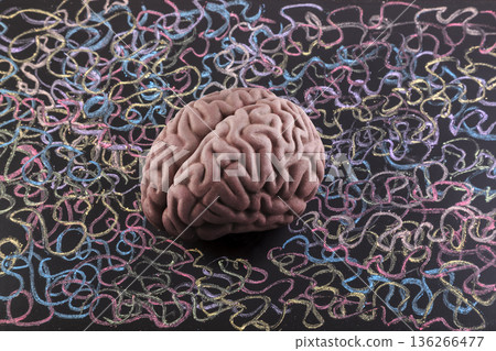 Human brain model surrounded by colorful curly lines drawn with chalk on scholl blackboard. Psychology, mental health or creative mind concept. 136266477