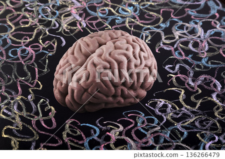 Human brain model surrounded by colorful curly lines drawn with chalk on scholl blackboard. Psychology, mental health or creative mind concept. 136266479
