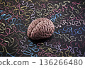 Human brain model surrounded by colorful curly lines drawn with chalk on scholl blackboard. Psychology, mental health or creative mind concept. 136266480