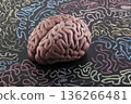 Human brain model surrounded by colorful curly lines drawn with chalk on scholl blackboard. Psychology, mental health or creative mind concept. 136266481