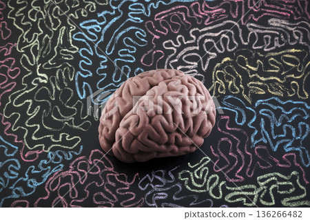 Human brain model surrounded by colorful curly lines drawn with chalk on scholl blackboard. Psychology, mental health or creative mind concept. 136266482