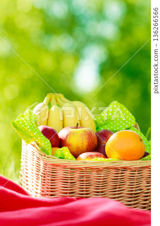 Picnic basket on blanket in woods 136266566