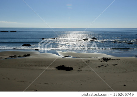 beautiful coastal scenery 136266749
