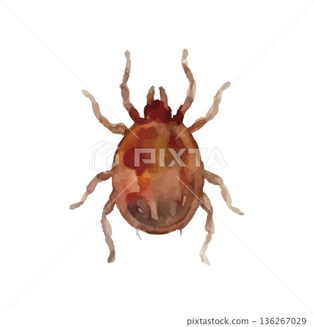 水彩風格的勾號插圖 136267029