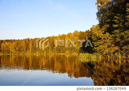 Tranquil River Reflections of Autumn Trees Tranquil River Reflections of Autumn Trees 136267049