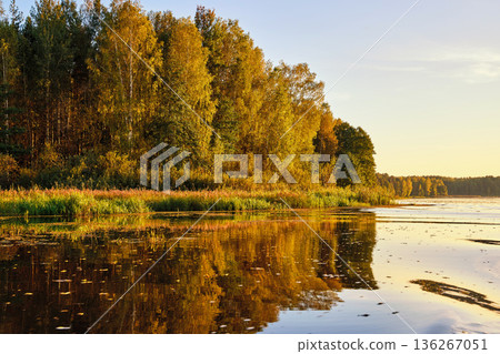 Tranquil River Reflections of Autumn Trees Tranquil River Reflections of Autumn Trees 136267051