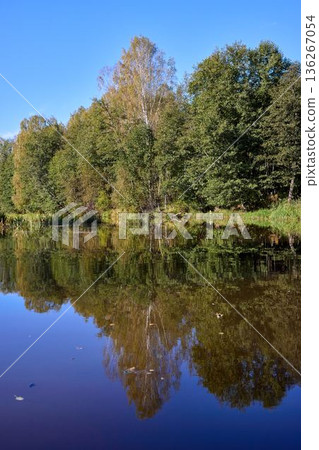 Tranquil River Reflections of Autumn Trees Tranquil River Reflections of Autumn Trees 136267054
