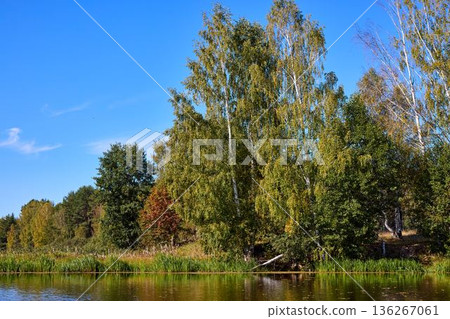 Serene Riverbank Scene with Lush Greenery Serene Riverbank Scene with Lush Greenery 136267061