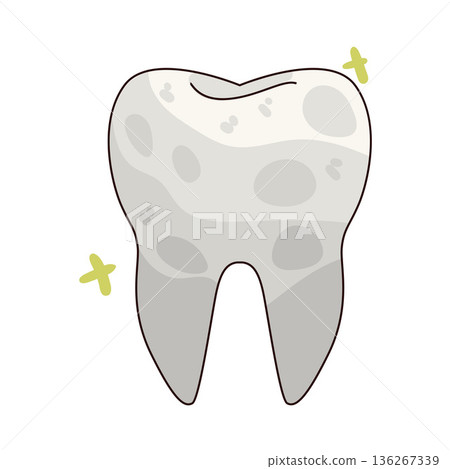 Illustration of tooth 136267339
