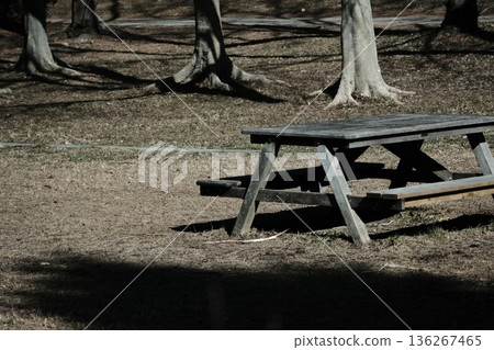 A table and bench in a quiet square with sunlight filtering through the trees A table and bench in a quiet square with sunlight filtering through the trees 136267465