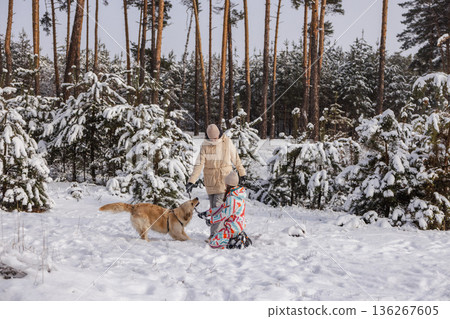 Two teenagers playing with Golden Retriever dog in snowy pine forest, winter outdoor leisure, joyful interaction, natural light Two teenagers playing with Golden Retriever dog in snowy pine forest, winter outdoor leisure, joyful interaction, natural light 136267605