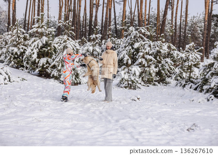 Two teenagers playing with jumping Golden Retriever in snowy pine forest, winter outdoor leisure, joyful family moment, natural light, Two teenagers playing with jumping Golden Retriever in snowy pine forest, winter outdoor leisure, joyful family moment, natural light, 136267610