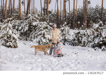 Two teenagers kneeling in snowy pine forest while playing with Golden Retriever dog, winter outdoor family leisure, joyful interaction, natural light, wide copy space in foreground Two teenagers kneeling in snowy pine forest while playing with Golden Retriever dog, winter outdoor family leisure, joyful interaction, natural light, wide copy space in foreground 136267617