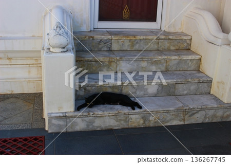 Wat Ratchanadharam Worawihan, Bangkok, Thailand 136267745