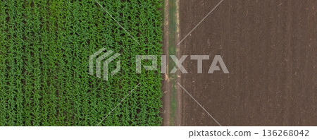 Aerial top view of a different agriculture fields in countryside on a spring day.  136268042