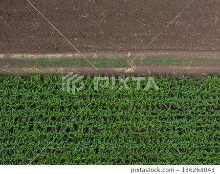 Aerial top view of a different agriculture fields in countryside on a spring day. Aerial top view of a different agriculture fields in countryside on a spring day. 136268043