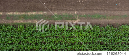 Aerial top view of a different agriculture fields in countryside on a spring day. Aerial top view of a different agriculture fields in countryside on a spring day. 136268044