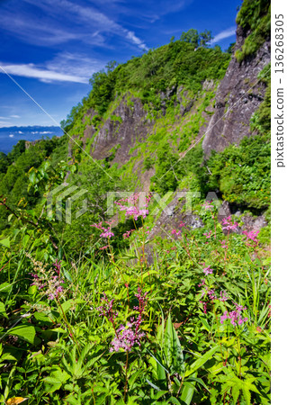 The Togakushi mountain ridge and the Northern Alps mountain range, where spirea blooms The Togakushi mountain ridge and the Northern Alps mountain range, where spirea blooms 136268305