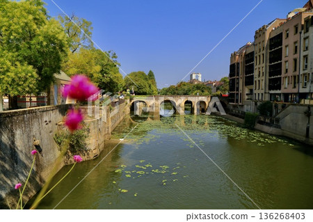 View of Metz's historical architecture and cityscape from the flower-filled riverside | Metz, France View of Metz's historical architecture and cityscape from the flower-filled riverside | Metz, France 136268403