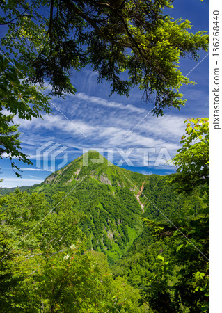 夏季從戶隱山眺望高妻山 夏季從戶隱山眺望高妻山 136268440