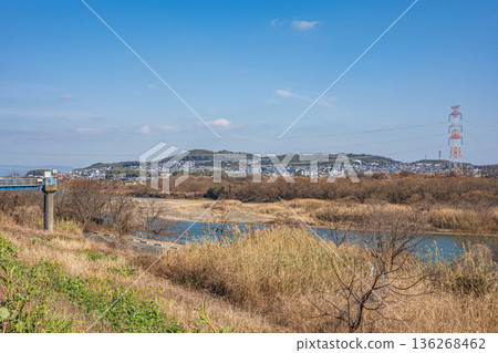 大阪府高槻市淀川右岸河床的冬季景色 136268462
