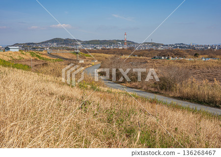 Winter scenery of the Yodo River right bank riverbed, Takatsuki City, Osaka Prefecture Winter scenery of the Yodo River right bank riverbed, Takatsuki City, Osaka Prefecture 136268467