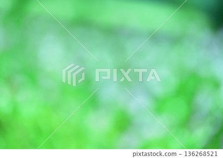 Green background material Green background material 136268521