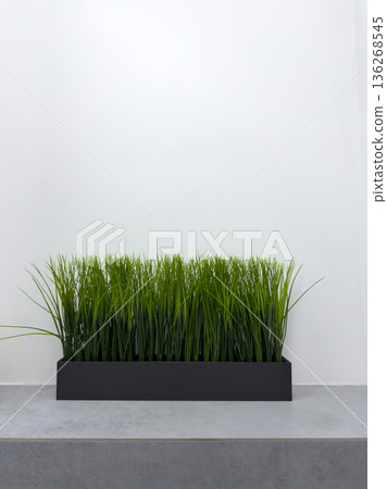 Artificial Grass Planter Box - Modern Interior Design 136268545
