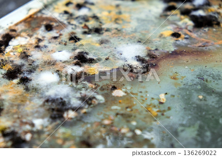 A picture of mold growing on leftover food scraps in the refrigerator. 136269022
