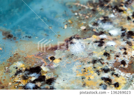 A picture of mold growing on leftover food scraps in the refrigerator. 136269023