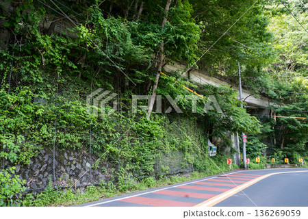 [Ogouchi Line] A bridge on the abandoned railway line running parallel to the national highway 136269059