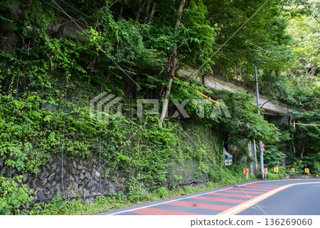 【小河內線】廢棄鐵路線上的一座橋樑,與國道平行 【小河內線】廢棄鐵路線上的一座橋樑,與國道平行 136269060