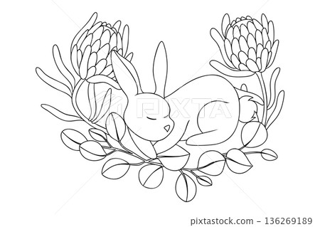 Easter composition with a cute vector Easter bunny, flowers, and eucalyptus leaves. Coloring page. 136269189