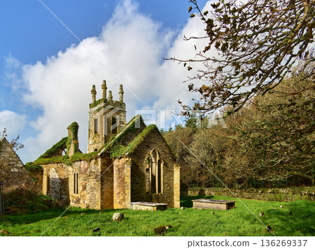 Historic Irish church ruin with a tall, weathered tower and crumbling stone walls blanketed in green ivy. Historic Irish church ruin with a tall, weathered tower and crumbling stone walls blanketed in green ivy. 136269337