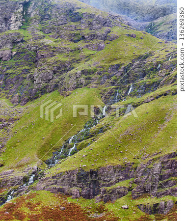 Multiple slender waterfalls flow down lush green, moss-covered rocky slopes of a mountain. The water creates silvery streaks against the vibrant vegetation and dark rock formations on a bright day. Multiple slender waterfalls flow down lush green, moss-covered rocky slopes of a mountain. The water creates silvery streaks against the vibrant vegetation and dark rock formations on a bright day. 136269360