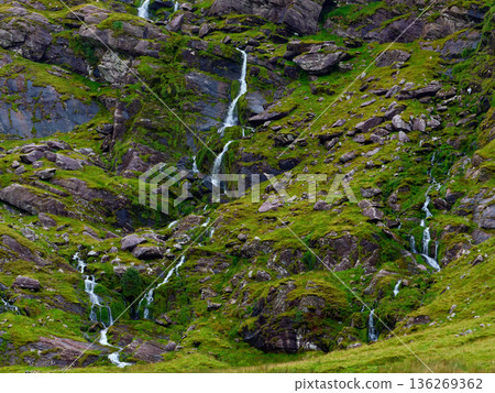 Multiple slender waterfalls cascade down the lush, green, moss-covered slopes of a mountain. On a bright day, the water creates silvery streaks against the vibrant vegetation and dark rock formations. Multiple slender waterfalls cascade down the lush, green, moss-covered slopes of a mountain. On a bright day, the water creates silvery streaks against the vibrant vegetation and dark rock formations. 136269362