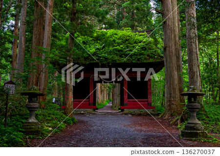 早晨的戶隱神社與瑞神門 136270037