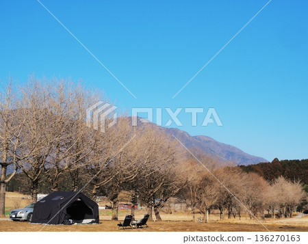 靜岡縣,樹線休閒區,1月 靜岡縣,樹線休閒區,1月 136270163