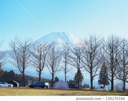 靜岡縣,樹線休閒區,1月 靜岡縣,樹線休閒區,1月 136270166