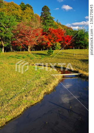 Autumn in Sagano, Kyoto - Heiango rowboat Autumn in Sagano, Kyoto - Heiango rowboat 136270645