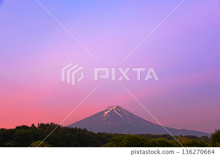 On a summer morning, the thin clouds above Mount Fuji turn crimson red in the morning glow, and Mount Fuji, with its streaks of remaining snow, is also slightly burned. On a summer morning, the thin clouds above Mount Fuji turn crimson red in the morning glow, and Mount Fuji, with its streaks of remaining snow, is also slightly burned. 136270664